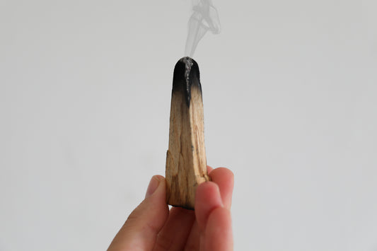 Palo Santo | חבילה של שלושה מקלות