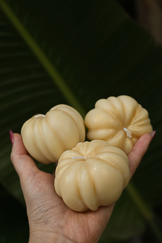 נרות דלעת | Set of 3 Spicy Pumpkin Candles | Orange × Clove